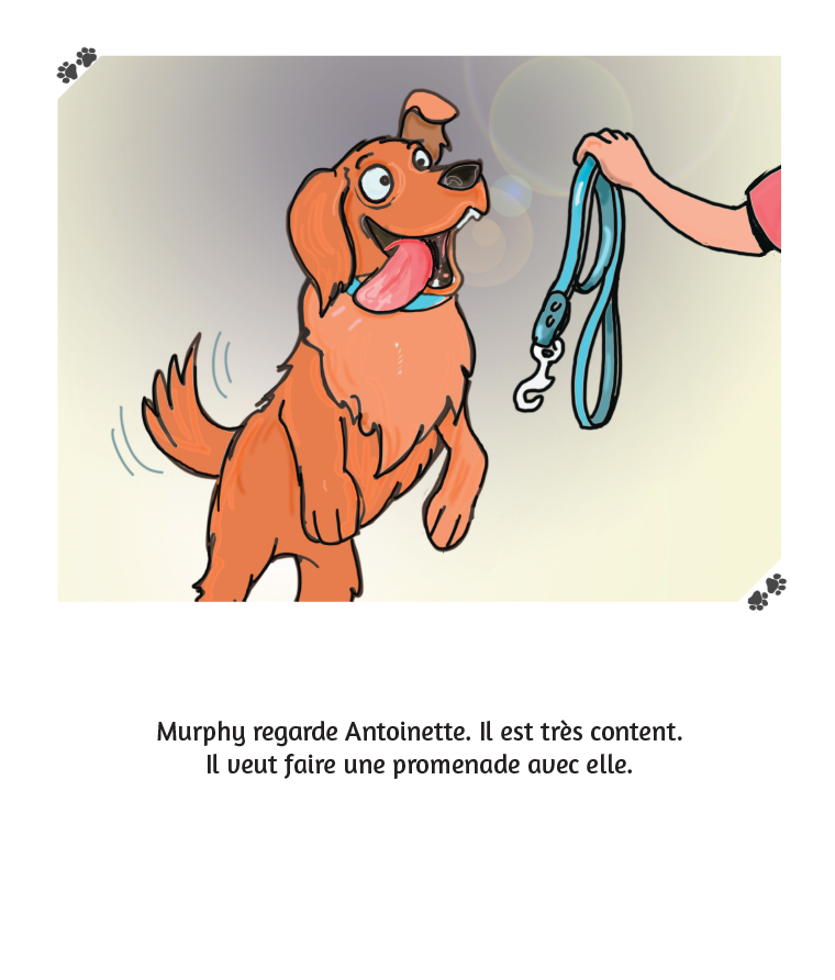 Murphy fait une promenade - Reader