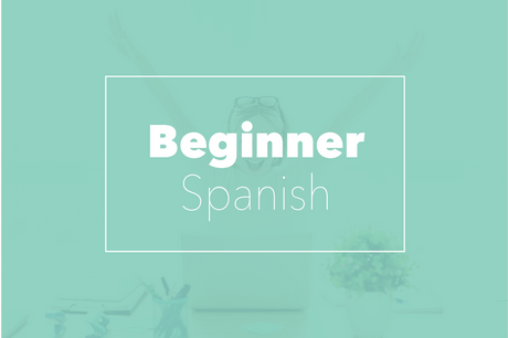 Live In-person - Level 1 Workshop  - Let's get started with AIM! - Spanish (New Hampshire)